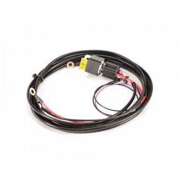 Anti-Surge Single Pump Fuel System Wiring Harness (suits Ford Falcon BA/BF) Processwest