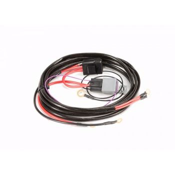 Anti-Surge Twin Pump Fuel System Wiring Harness (suits Ford Falcon BA/BF) Processwest