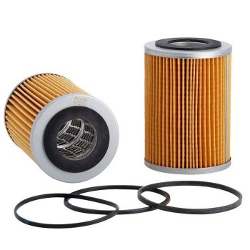 Ryco R243P Oil Filter