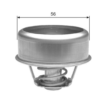 Gates TH22375 Thermostat