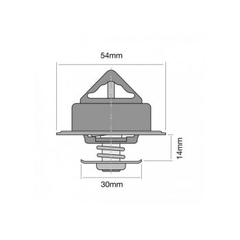 Tridon Thermostat TT216-192P