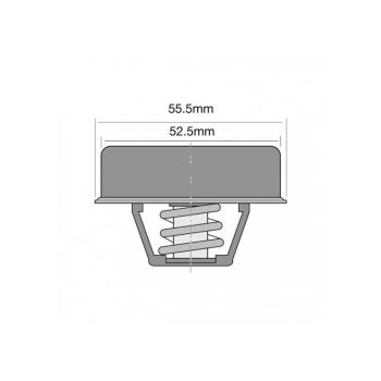 Tridon Thermostat TT238-170