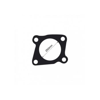 Tridon Thermostat Gasket TTG41