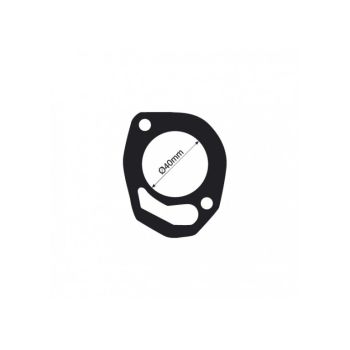 Tridon Thermostat Gasket TTG55
