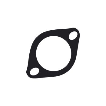 Tridon Thermostat Gasket TTG36