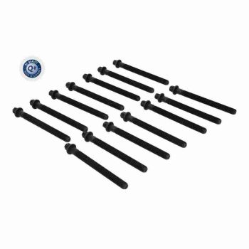 VAICO V20-4266 Cylinder Head Bolt Set