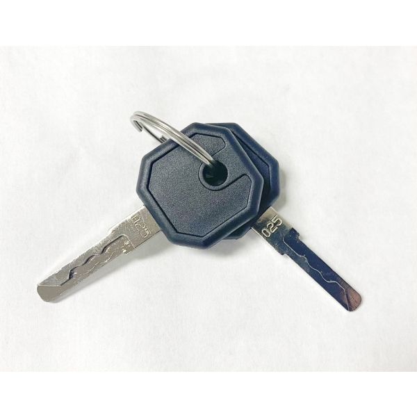 Key 22 EGR Replacement Keys for EGR Premium Canopies 1 Pair CNPY-KEY-22 ...