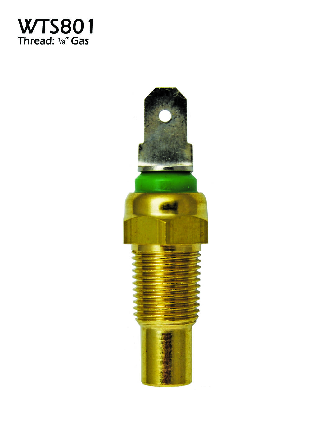 Water Temp Sender