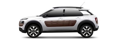 C4 Cactus