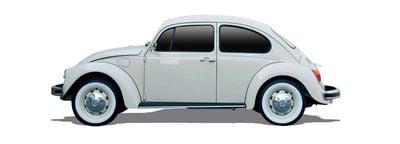 Beetle