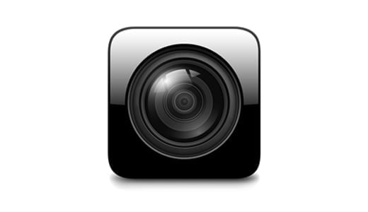 Reverse Camera Input